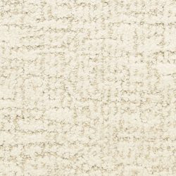 Masland  Dorado Carpet 9587 818