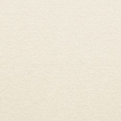 Masland  Patriot  Carpet 9588 016