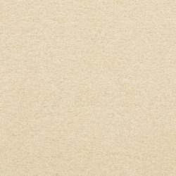 Masland  Patriot  Carpet 9588 088
