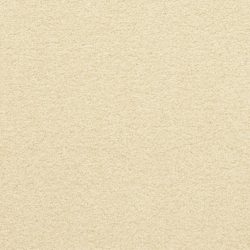 Masland  Patriot  Carpet 9588 130