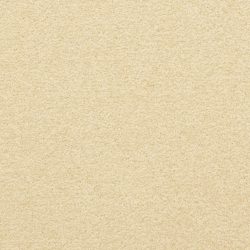 Masland  Patriot  Carpet 9588 181