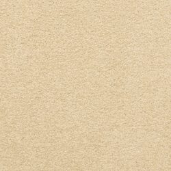 Masland  Patriot  Carpet 9588 191