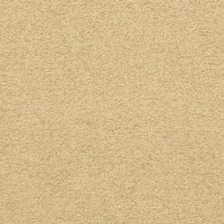 Masland  Patriot  Carpet 9588 221
