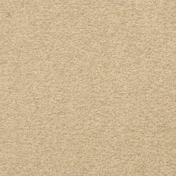Masland  Patriot  Carpet 9588 237