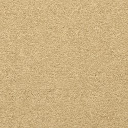 Masland  Patriot  Carpet 9588 238