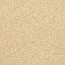 Masland  Patriot  Carpet 9588 283
