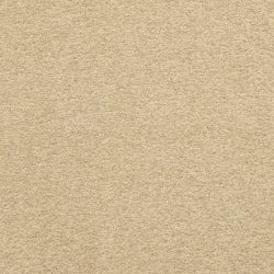 Masland  Patriot  Carpet 9588 287