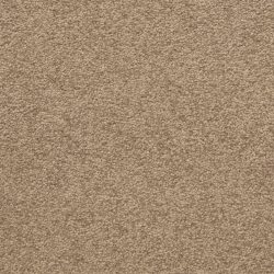 Masland  Patriot  Carpet 9588 319