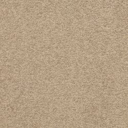 Masland  Patriot  Carpet 9588 350