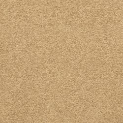 Masland  Patriot  Carpet 9588 382