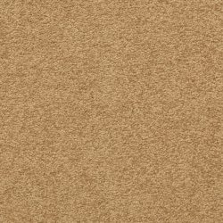Masland  Patriot  Carpet 9588 395
