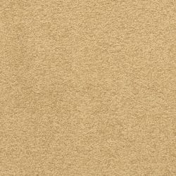 Masland  Patriot  Carpet 9588 439
