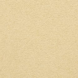 Masland  Patriot  Carpet 9588 454