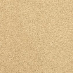 Masland  Patriot  Carpet 9588 470