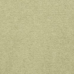 Masland  Patriot  Carpet 9588 522