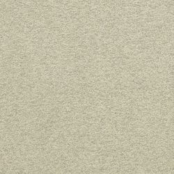 Masland  Patriot  Carpet 9588 534
