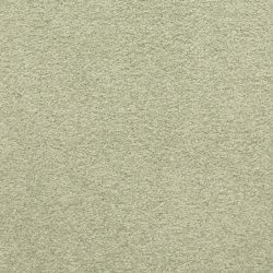 Masland  Patriot  Carpet 9588 556