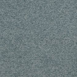 Masland  Patriot  Carpet 9588 628