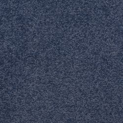 Masland  Patriot  Carpet 9588 644