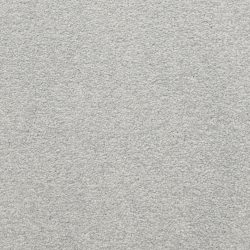 Masland  Patriot  Carpet 9588 651