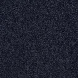 Masland  Patriot  Carpet 9588 667