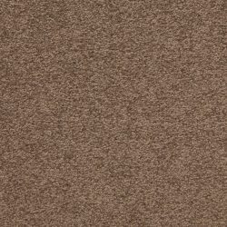 Masland  Patriot  Carpet 9588 755
