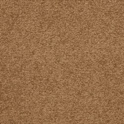 Masland  Patriot  Carpet 9588 774