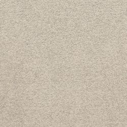 Masland  Patriot  Carpet 9588 827