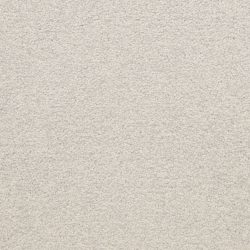 Masland  Patriot  Carpet 9588 846