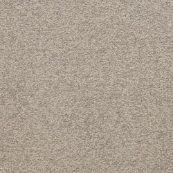 Masland  Patriot  Carpet 9588 886