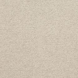 Masland  Patriot  Carpet 9588 889
