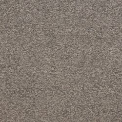 Masland  Patriot  Carpet 9588 892
