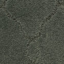 Masland  Chateau Marmont Carpet 9589 595