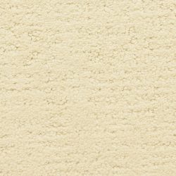 Masland  Santa Barbara  Carpet 9590 121