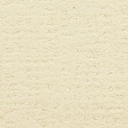 Masland  Santa Barbara  Carpet 9590 133