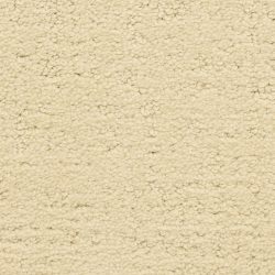 Masland  Santa Barbara  Carpet 9590 218