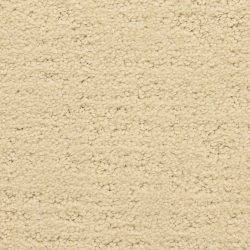 Masland  Santa Barbara  Carpet 9590 219