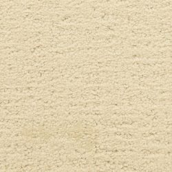 Masland  Santa Barbara  Carpet 9590 229
