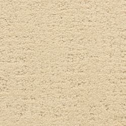 Masland  Santa Barbara  Carpet 9590 230