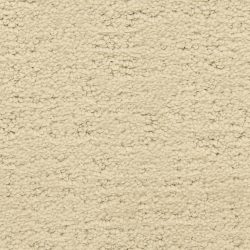 Masland  Santa Barbara  Carpet 9590 231
