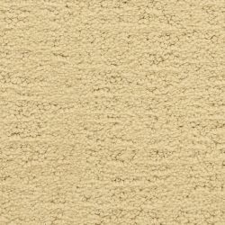 Masland  Santa Barbara  Carpet 9590 314