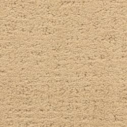 Masland  Santa Barbara  Carpet 9590 316