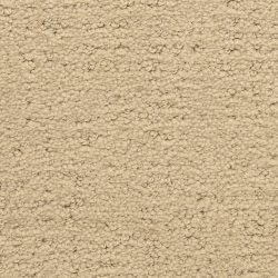 Masland  Santa Barbara  Carpet 9590 326