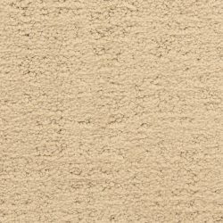 Masland  Santa Barbara  Carpet 9590 327