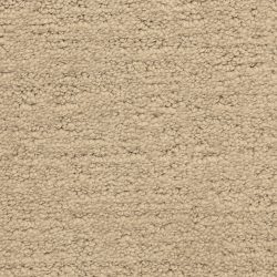 Masland  Santa Barbara  Carpet 9590 328