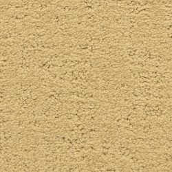 Masland  Santa Barbara  Carpet 9590 411