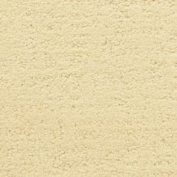 Masland  Santa Barbara  Carpet 9590 417