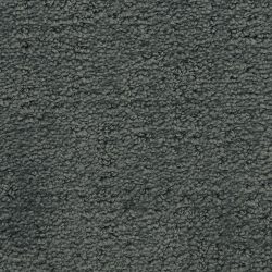 Masland  Santa Barbara  Carpet 9590 542