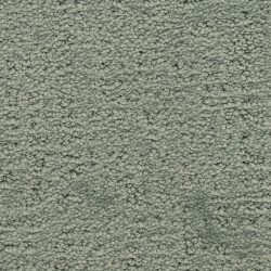 Masland  Santa Barbara  Carpet 9590 543