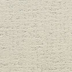 Masland  Santa Barbara  Carpet 9590 545